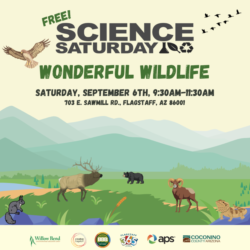 Science Saturday - Wonderful Wildlife!