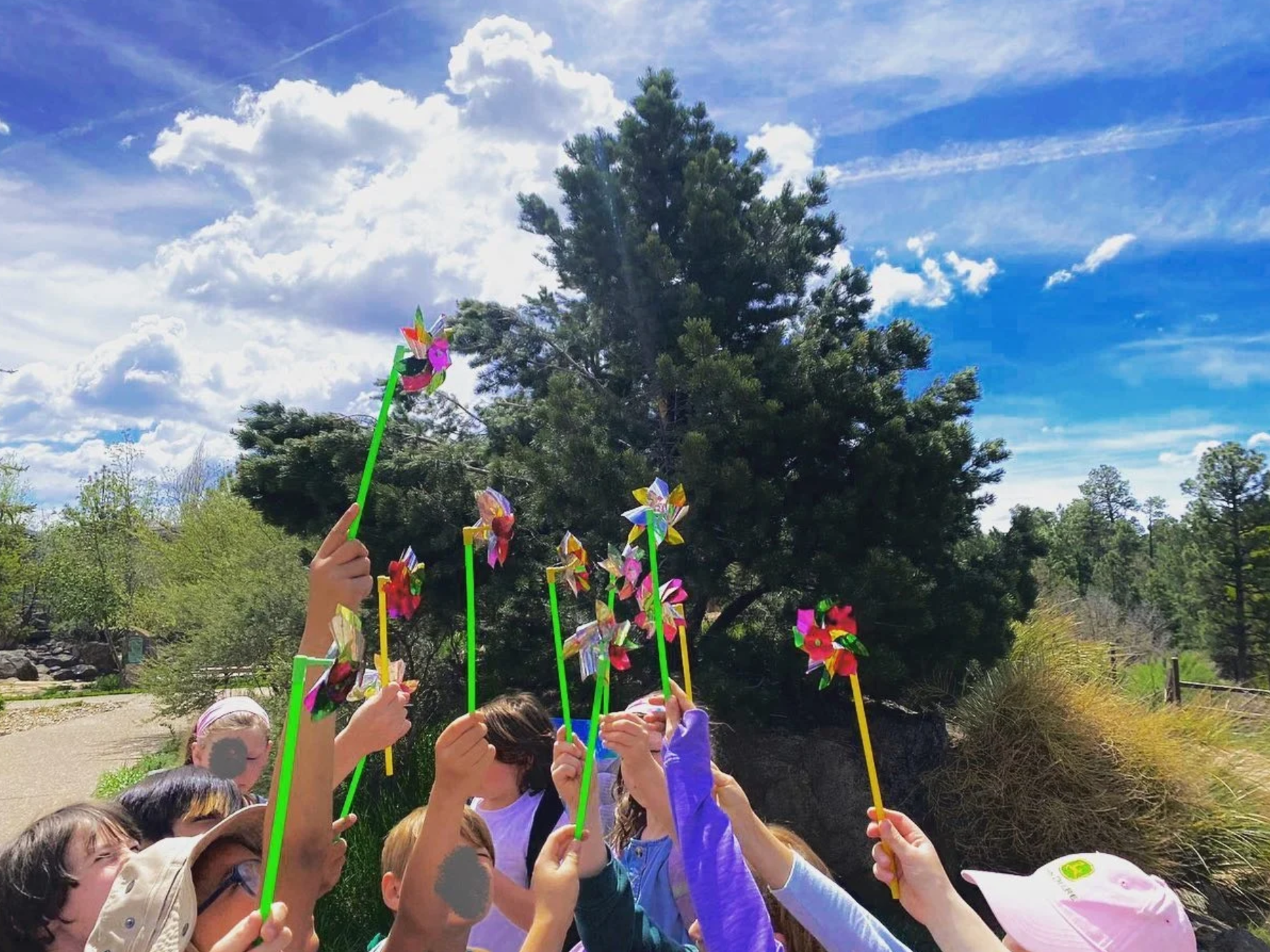 Festival of Science Preschool Program: Weather Wonders + Energy Explorers