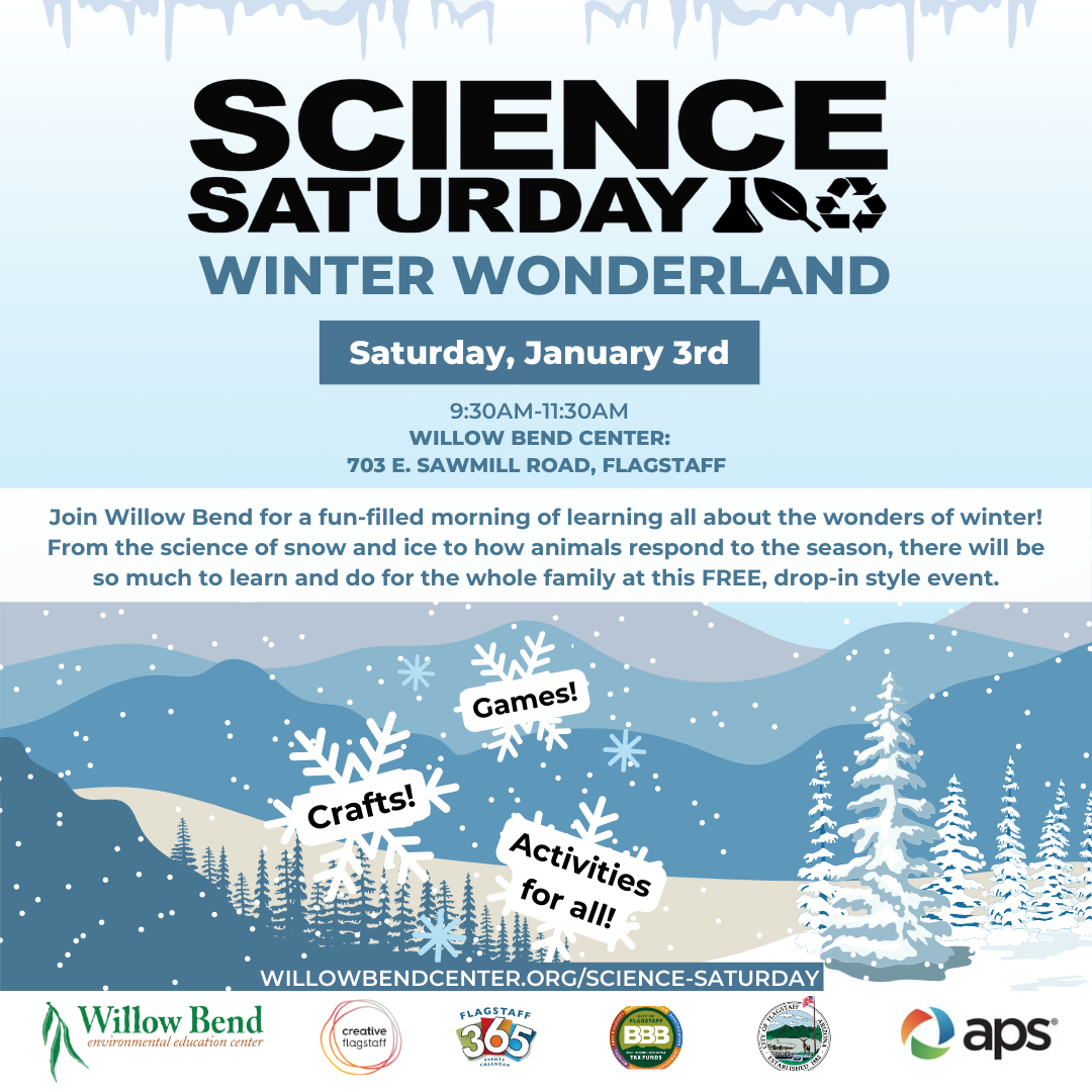 Science Saturday: Winter Wonderland