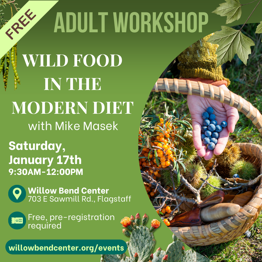 Adult Workshop: Wild Food in the Modern Diet