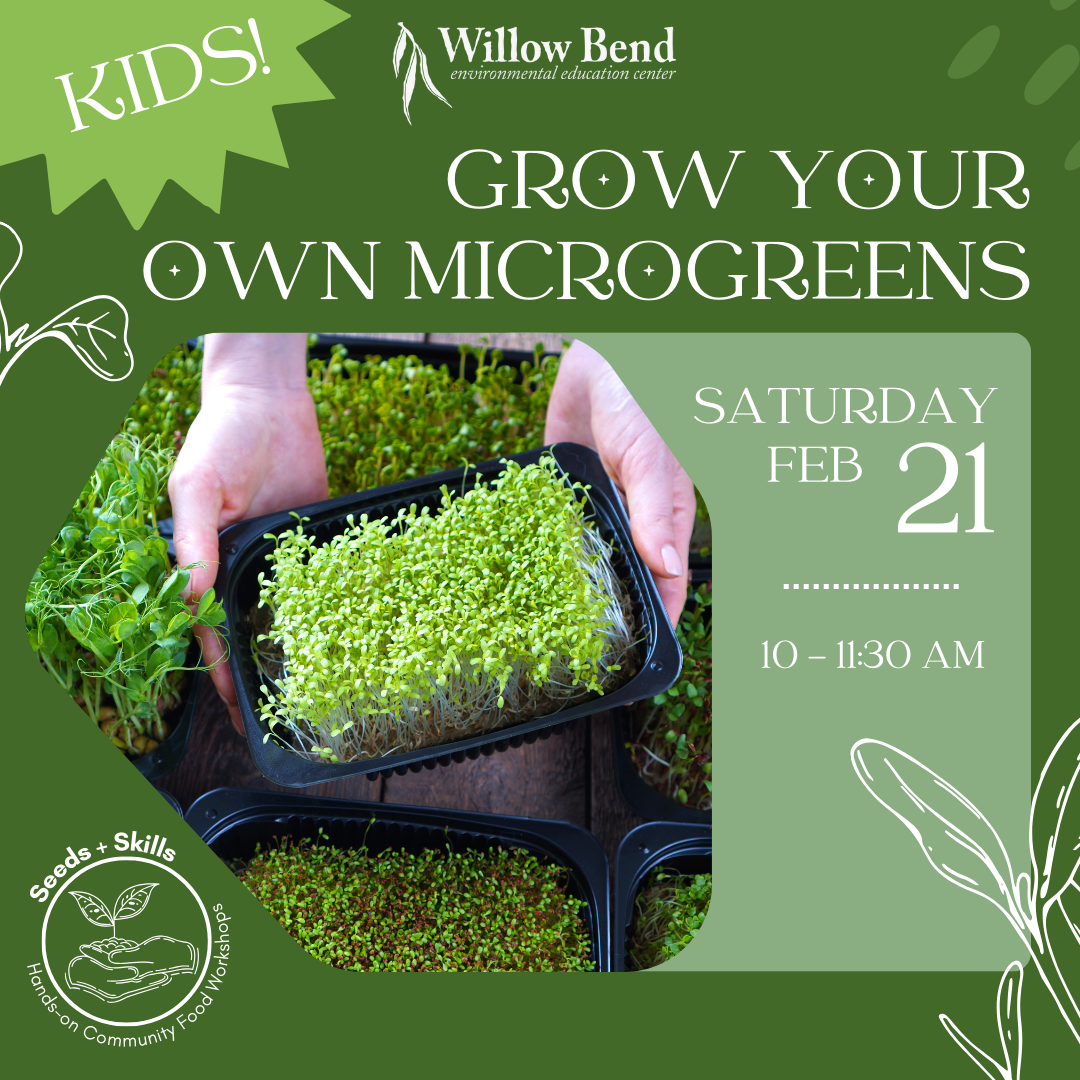 Family Science: Grow Your Own Microgreens!