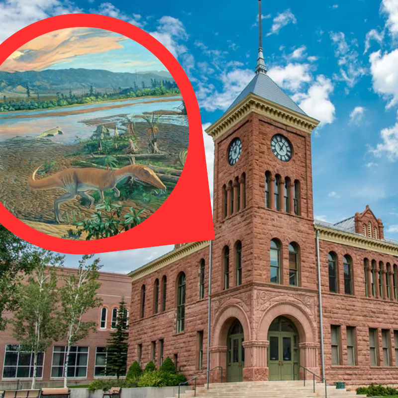 Downtown Flagstaff Geology Rocks Tour