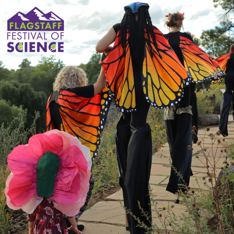 Fun to Learn: Bats, Bees, and Butterflies - the Pollinators! (Festival of Science)