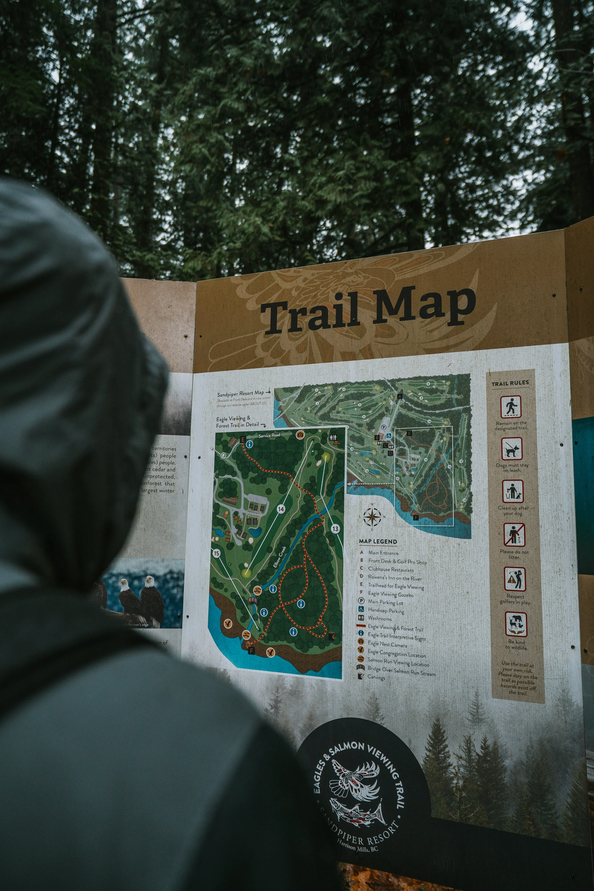 Image of person reading a sign in Harrison hot springs