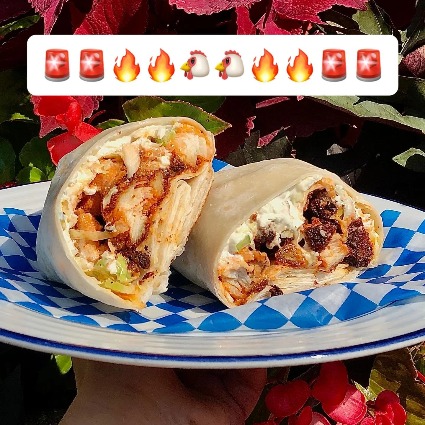 π¨π¨π₯ππ₯π¨π¨ New Special Dropping
The Crunchy Buffalo Chicken Wrap is HERE!
You love our chicken Caesar wrap, now try its spicy cousin. 
Crispy chicken tenders tossed in buffalo sauce, blue cheese dressing, cabbage-carrot-celery slaw, romaine lett