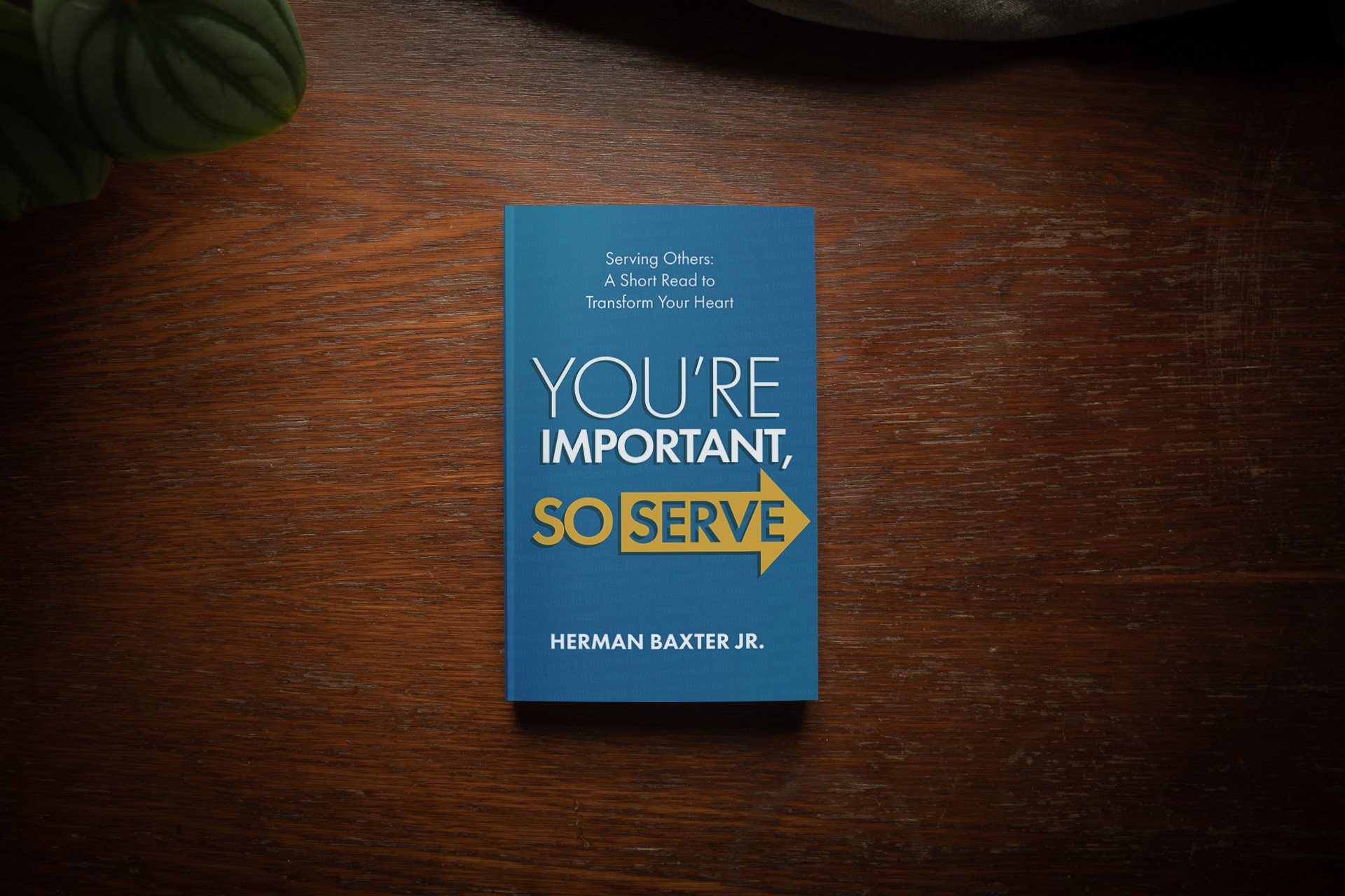 baxter-jr,herman_you_re-important-so-serve_MOCKUP_01.jpg
