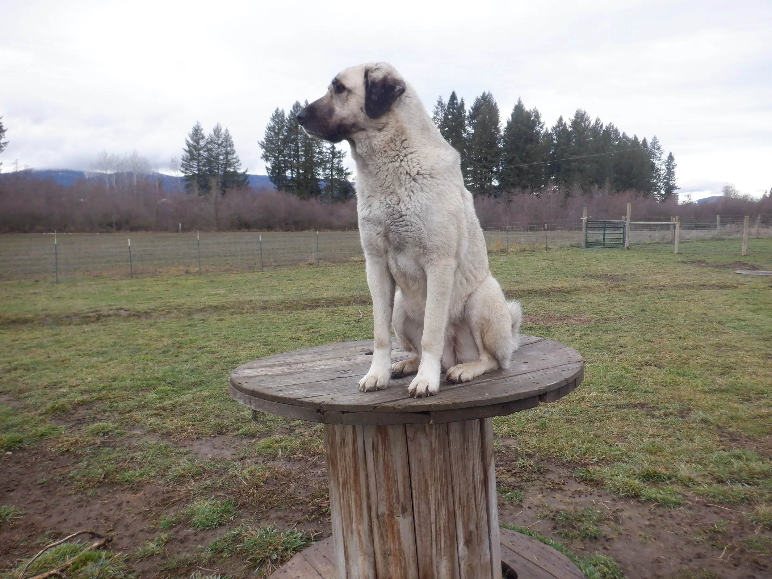 2021-11-28 DSCF5237.JPG