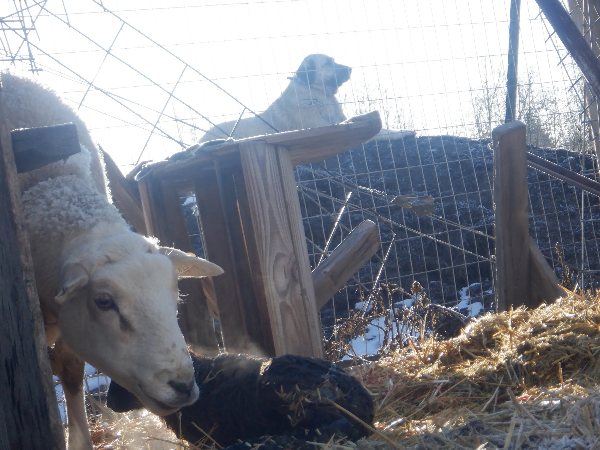 2024-3-6-2024 DSCF8089.JPG