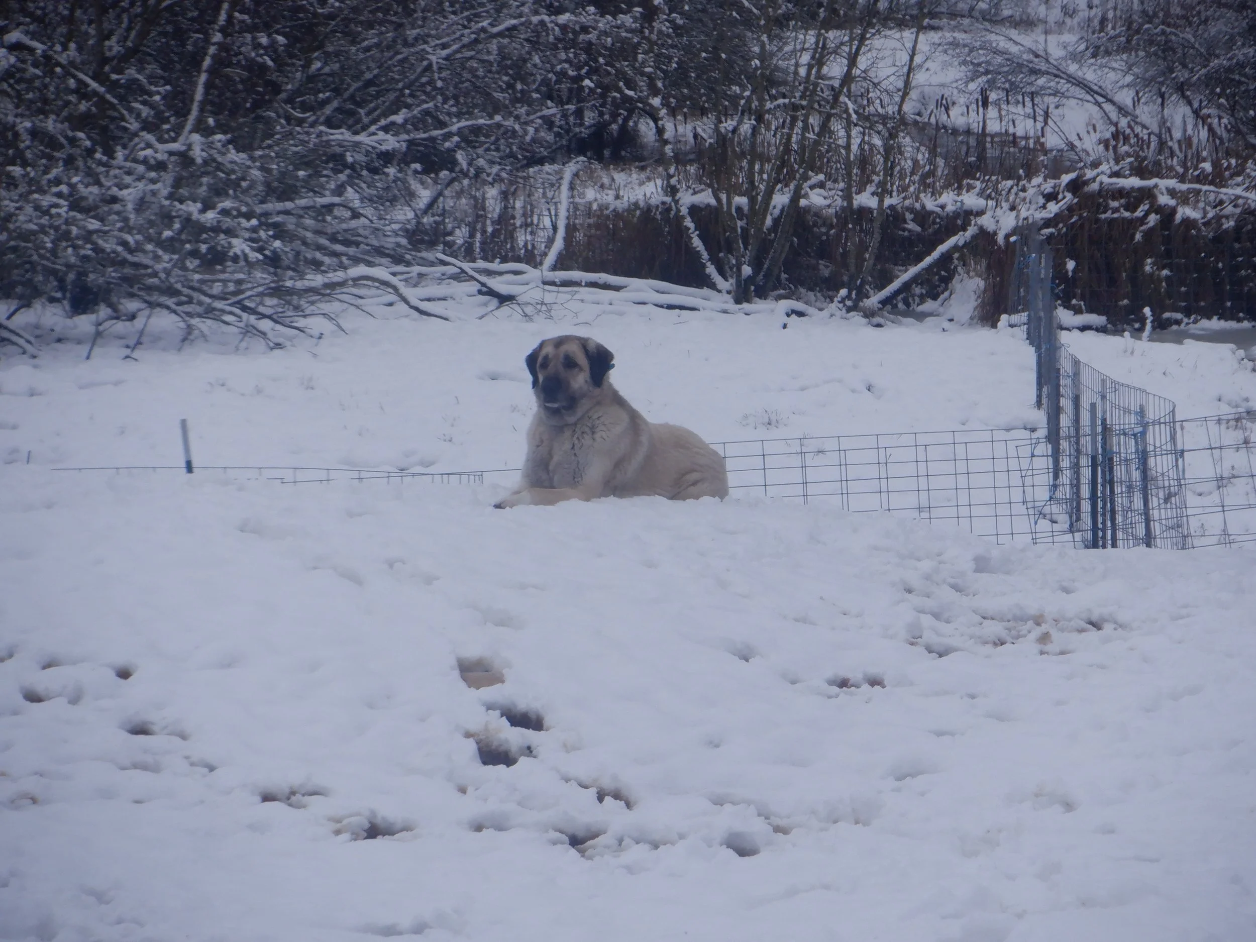 2025-1-4 DSCF8758.JPG