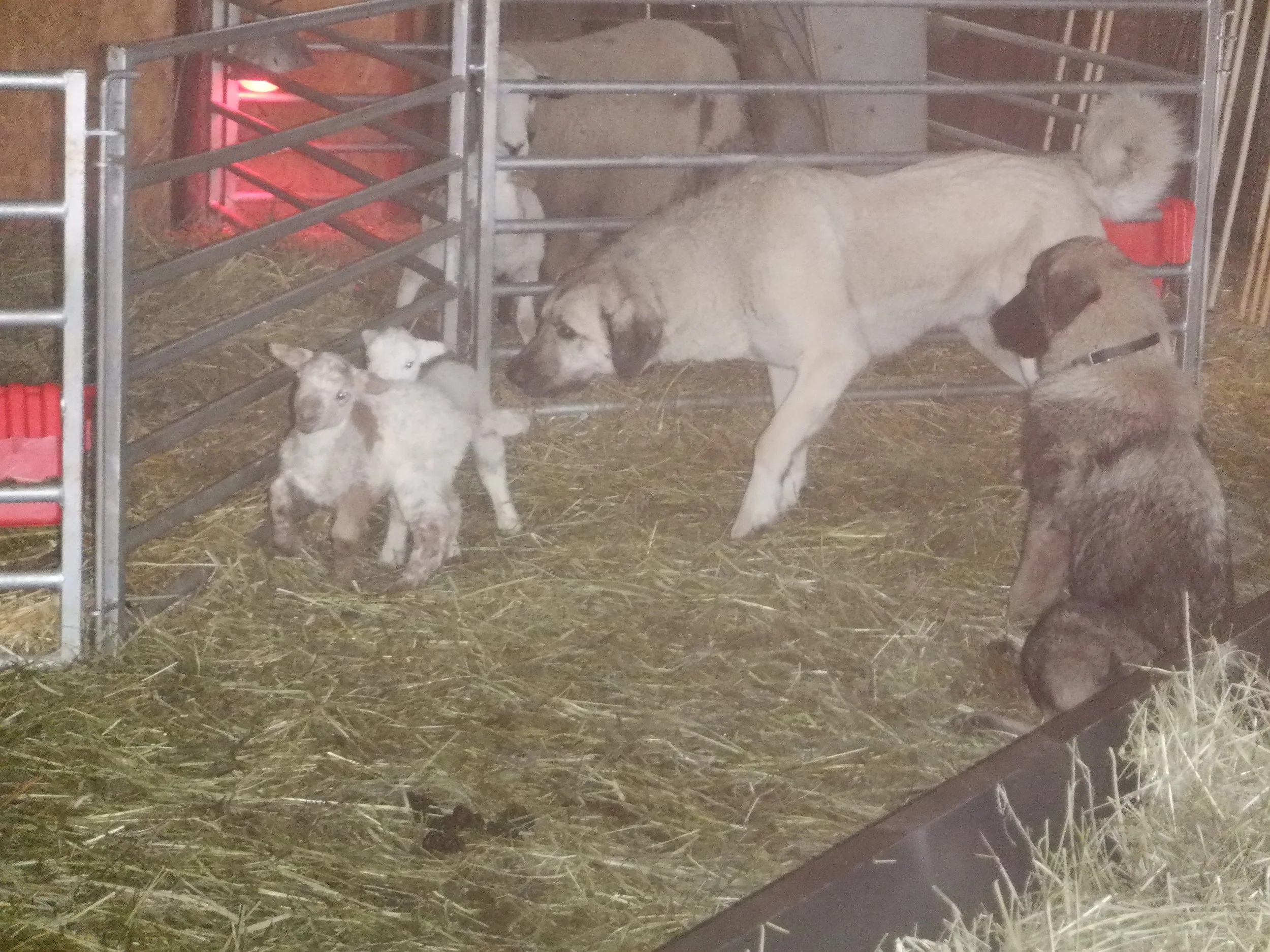 2023-12-26 DSCF7809.JPG