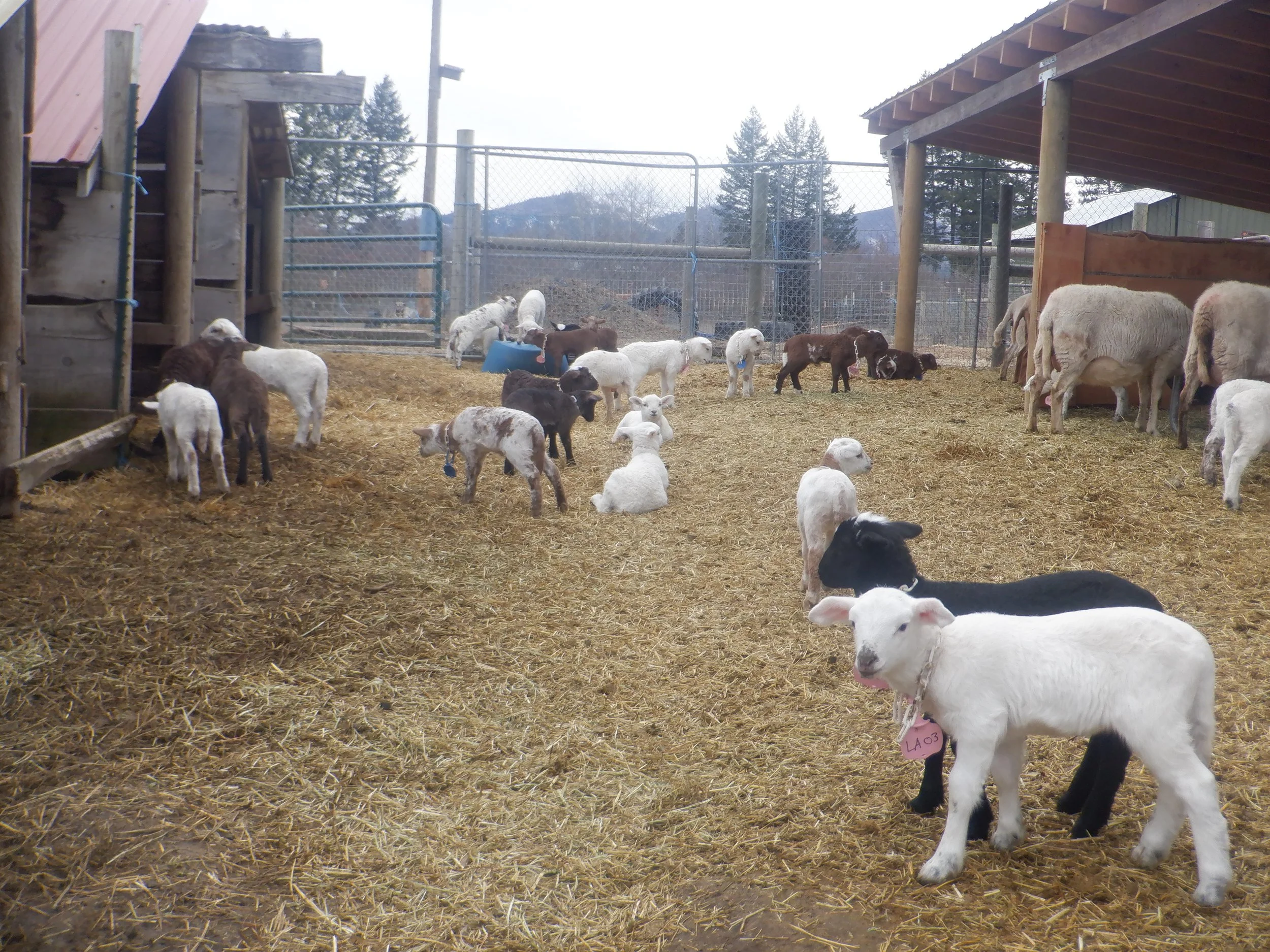 2025-3-10 DSCF9070.JPG