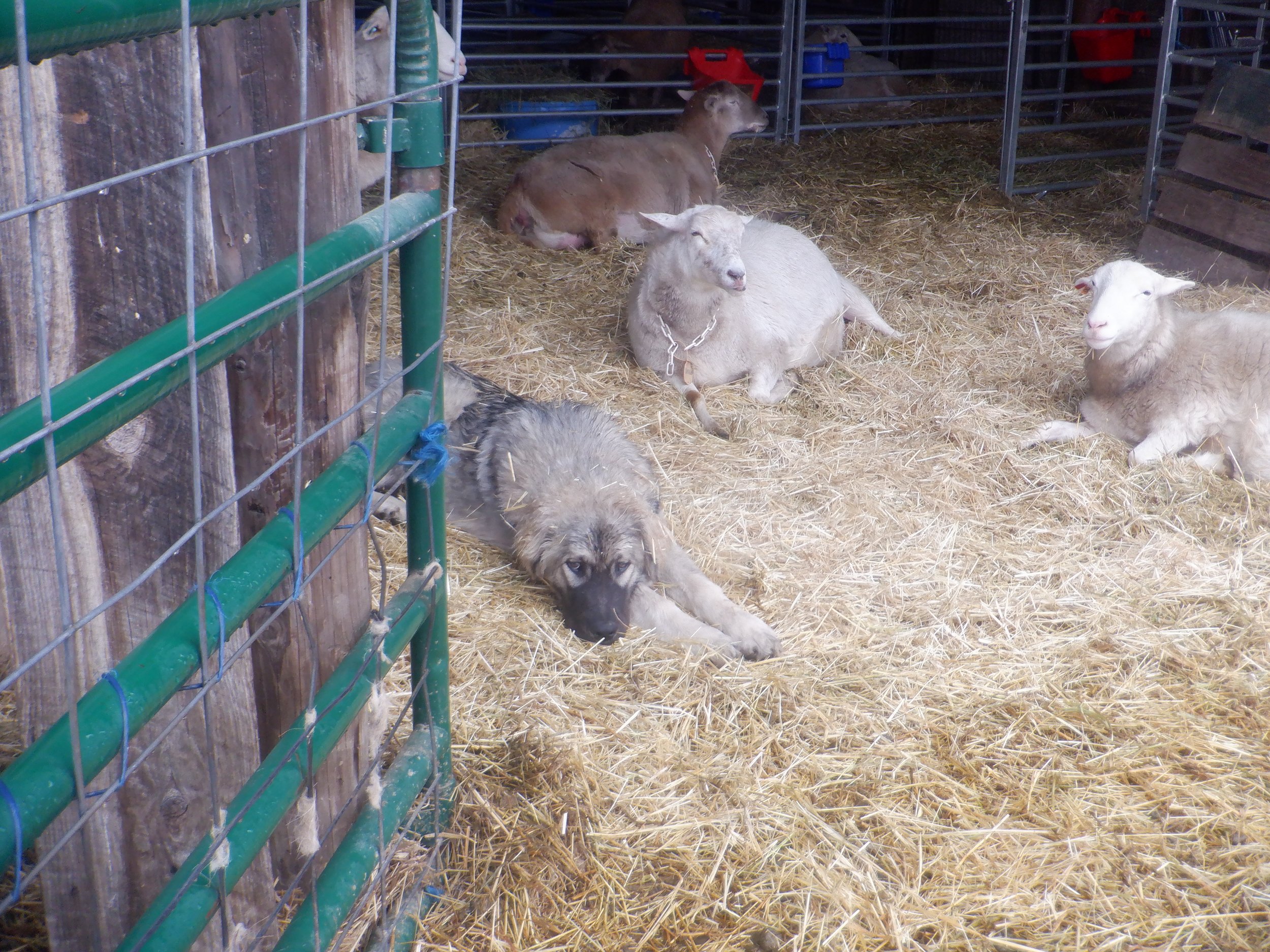 2025-3-12 DSCF9073.JPG