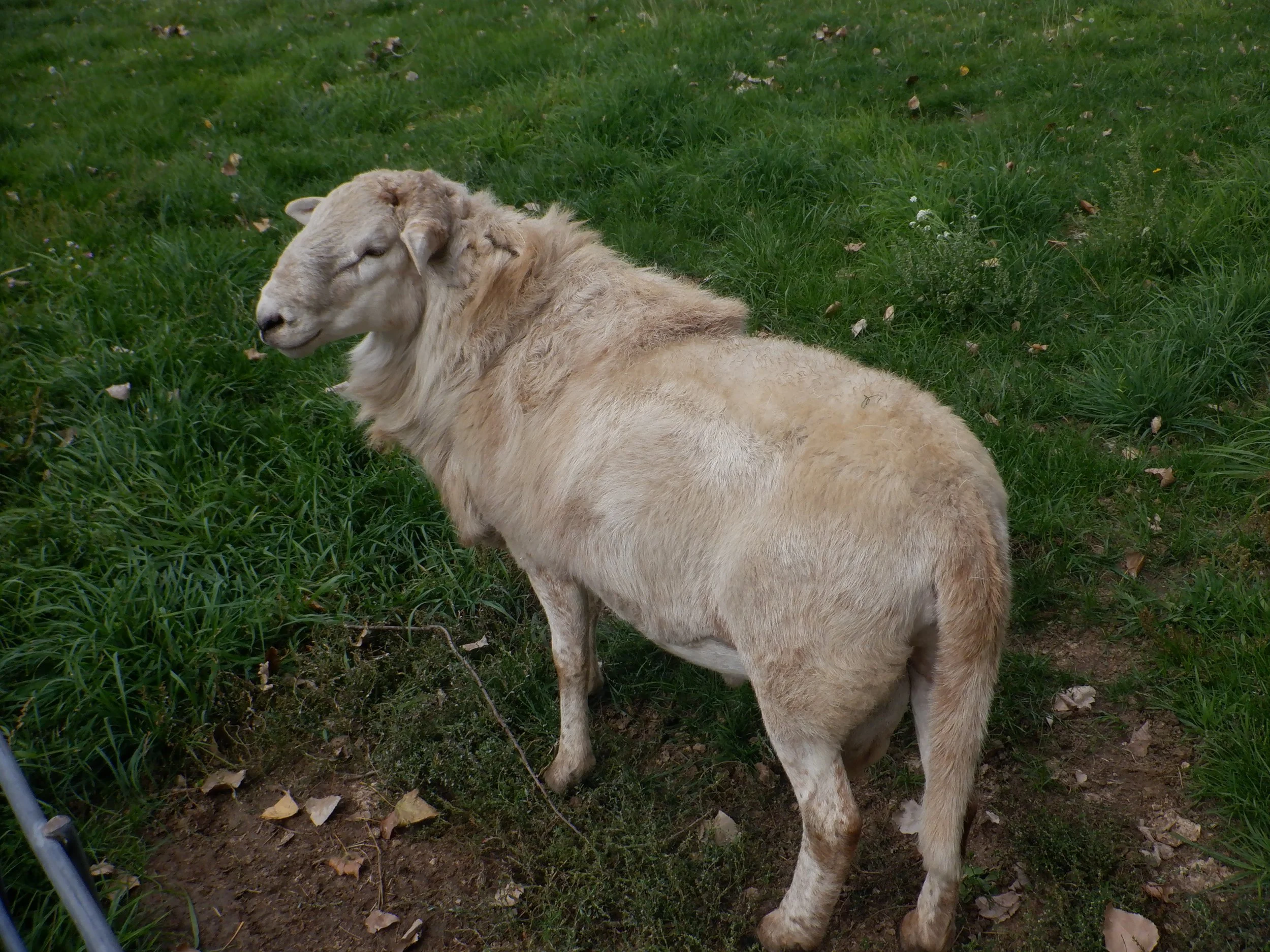 2023-10-2 DSCF7609.JPG