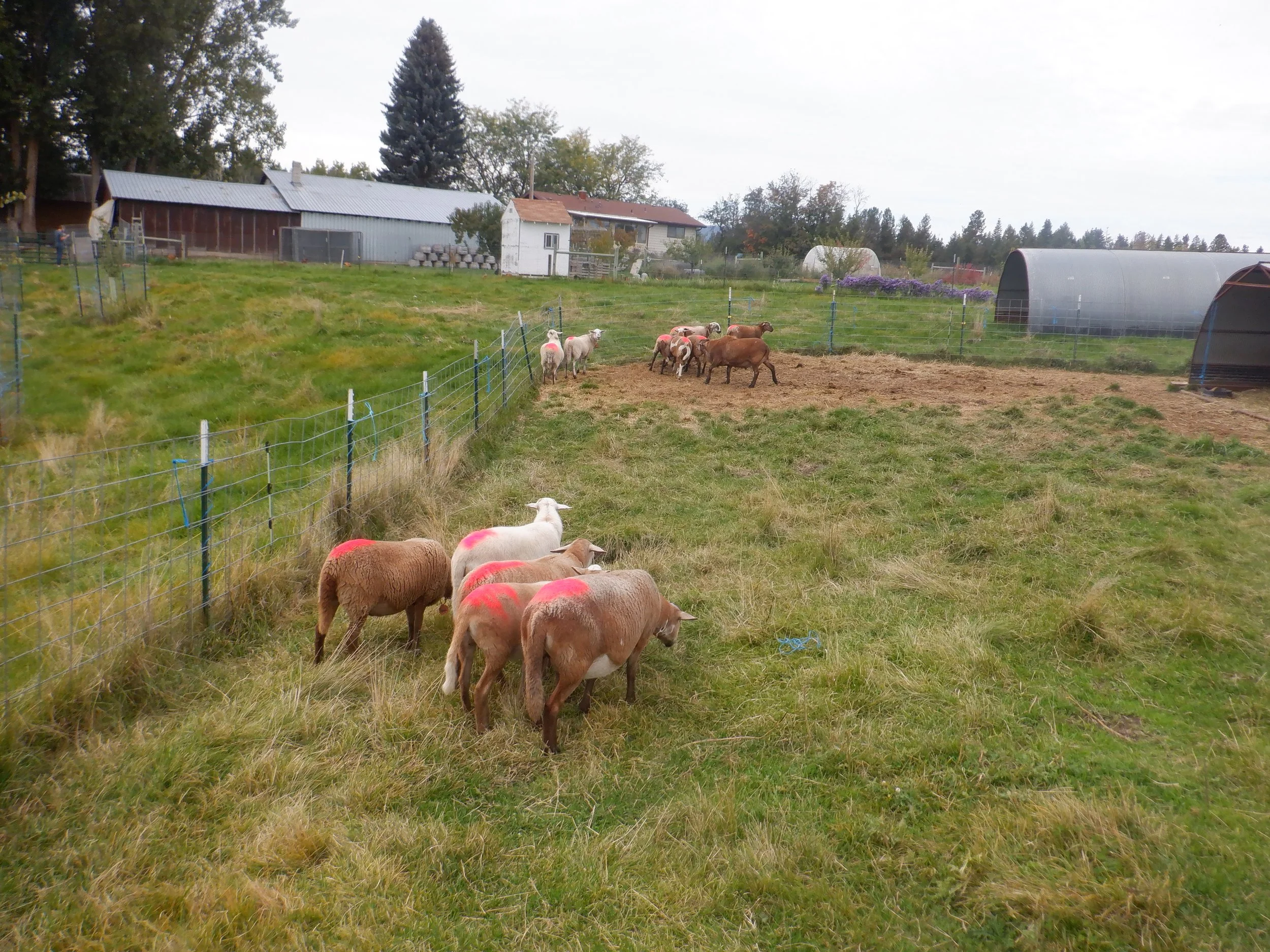 2023-10-2 DSCF7618.JPG