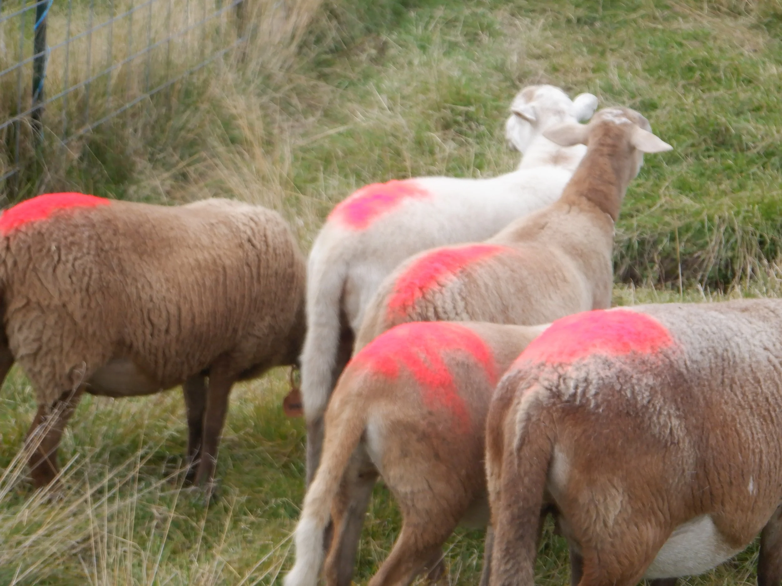 2023-10-2 DSCF7619.JPG