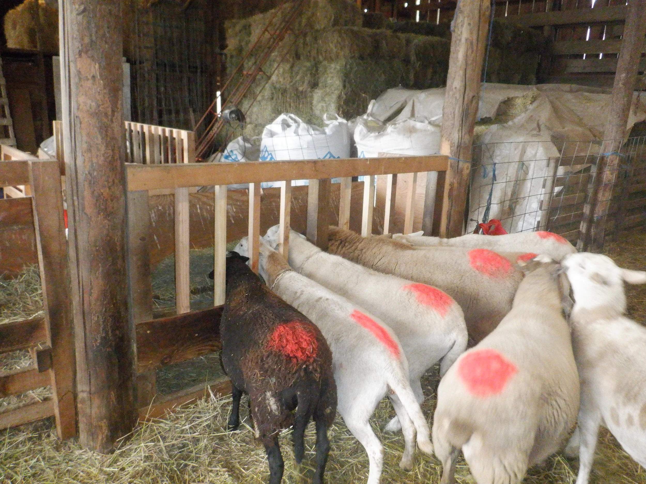 2023-10-11  DSCF7641.JPG