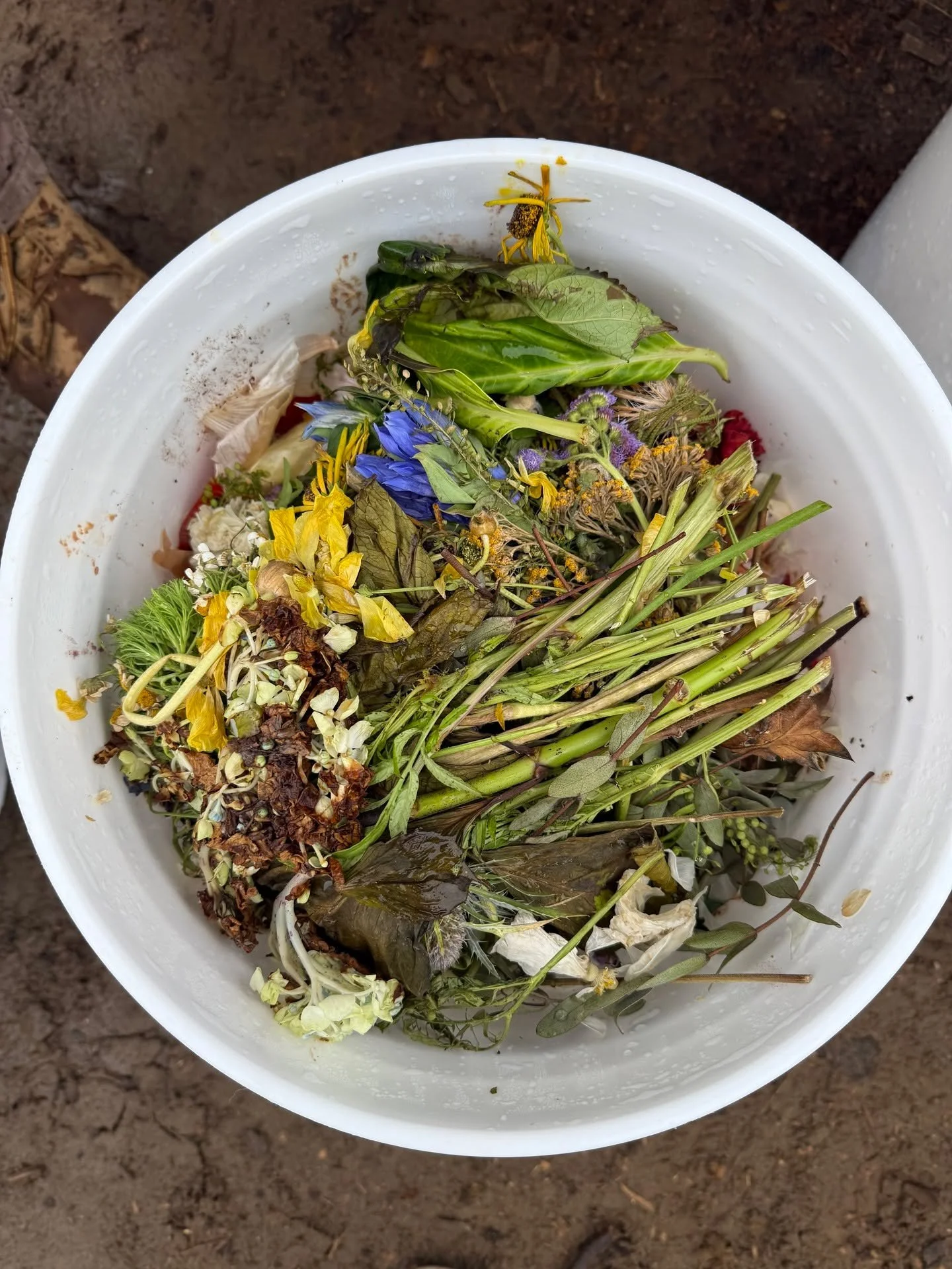 Wouldn&rsquo;t it be a shame to let all of this beautiful food go into a landfill and become nothing more than methane gas? Not on our watch!!!! 💅