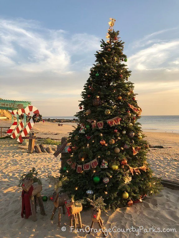 Crystal Cove Tree Lighting & Holiday Bazaar 2025