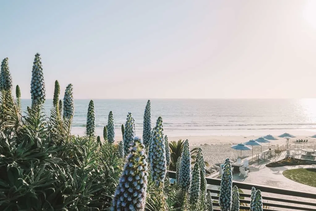 Best Hotels in South Orange County| Luxury, Boutique &amp; Coastal Escapes