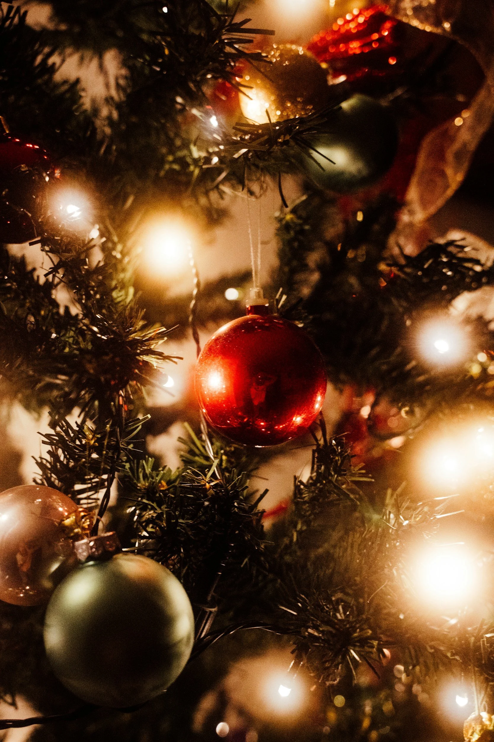 Tree Lighting Ceremony at Pretend City Children’s Museum