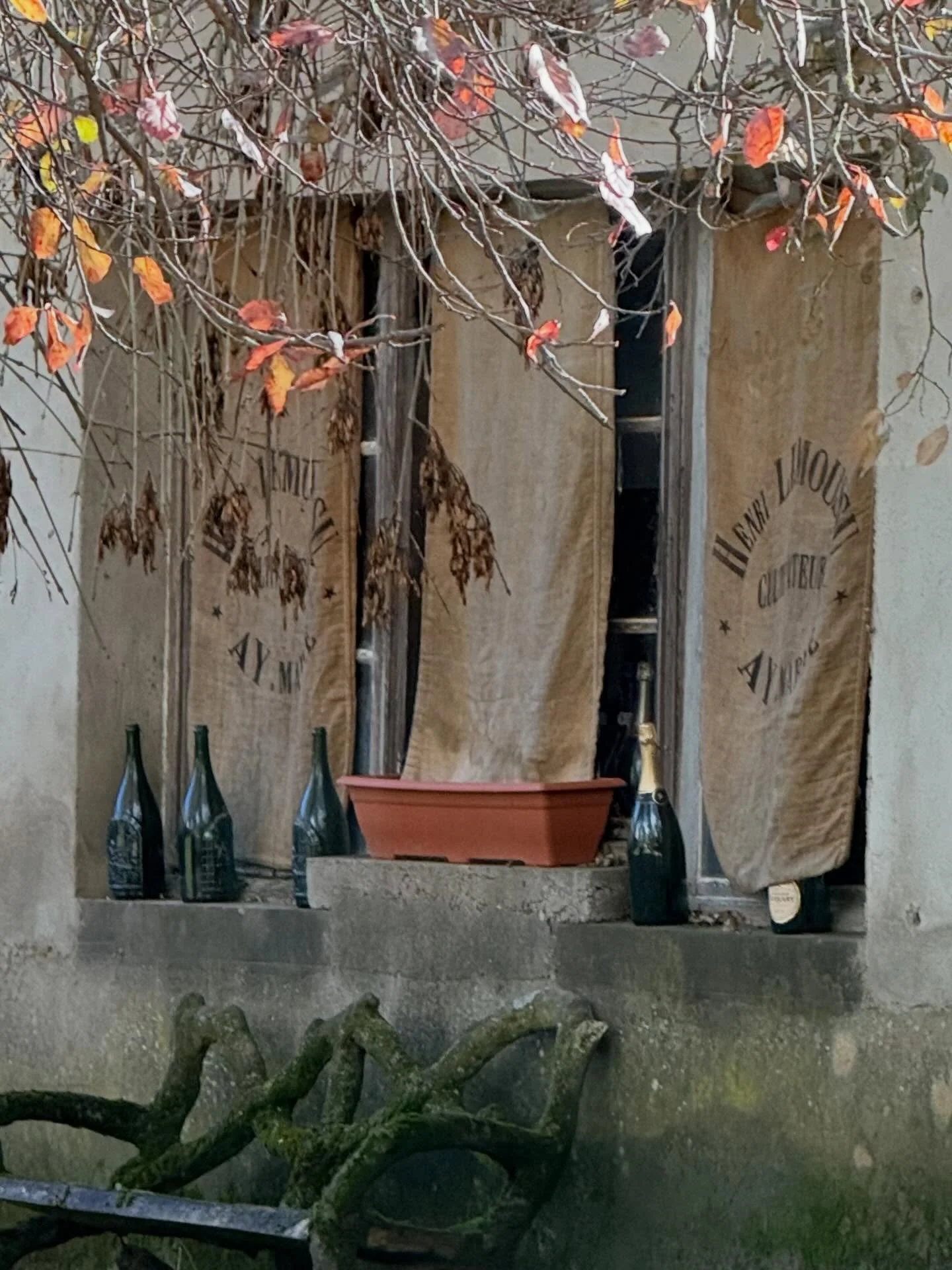 ✨ Stumbled upon rustic charm in A&yuml; &mdash; weathered walls, Champagne bottles on the windowsill, and that perfect countryside stillness. A cozy stop near R&ocirc;tisserie Henri IV, where tradition and heart meet in every detail. 🍾🍂✨ @rotisseri