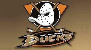 Anaheim Ducks Pride Party Night – Anaheim, CA