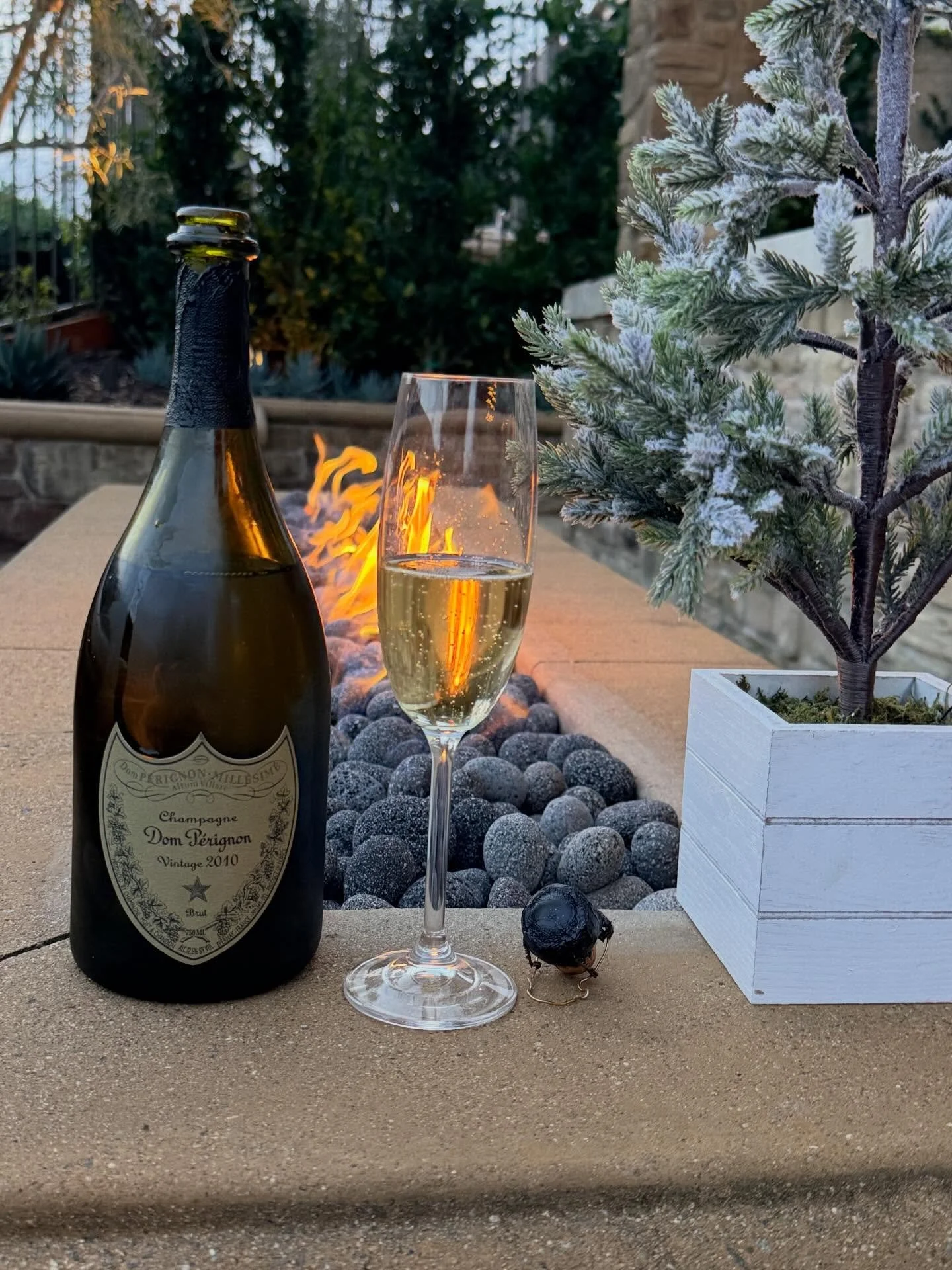 Merry Christmas 🎄🎁 from California 

Dom P&eacute;rignon &mdash; Vintage 2010

House: Dom P&eacute;rignon (Mo&euml;t &amp; Chandon)
Region: Champagne, France
Vintage: 2010
Style: Brut Vintage Champagne
Grapes: Pinot Noir &amp; Chardonnay (assemblag