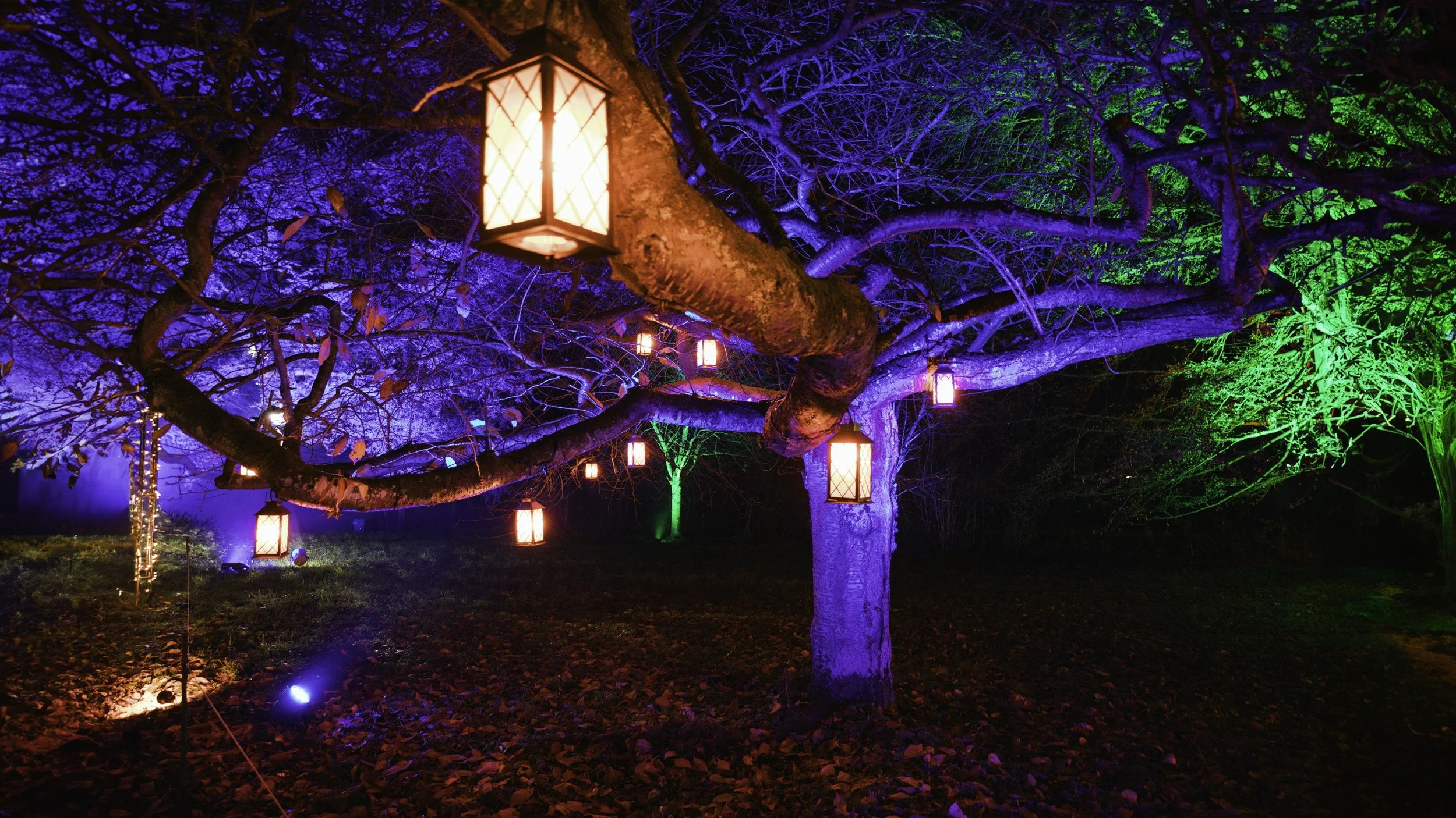 The Storybook Experience at the Museum of Make Believe  Laguna Beach