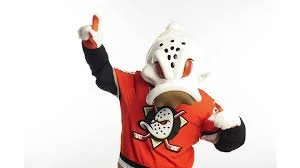 Anaheim Ducks Cal State Long Beach Night – Anaheim