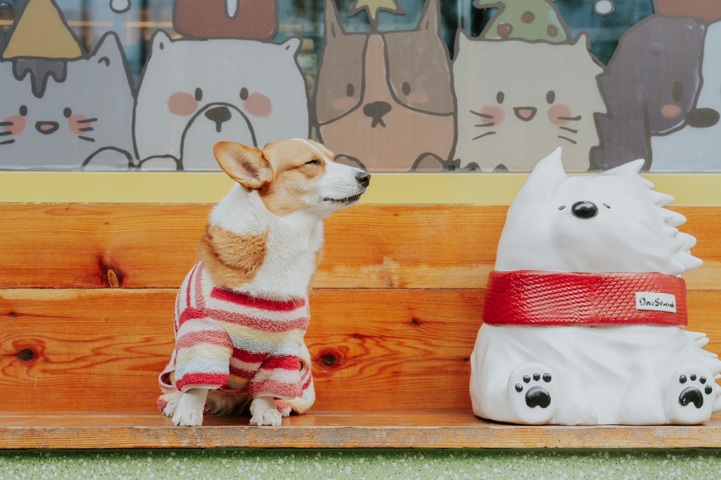 Paws &amp; Nuggets with Chick-fil-A-Costa Mesa/Santa Ana