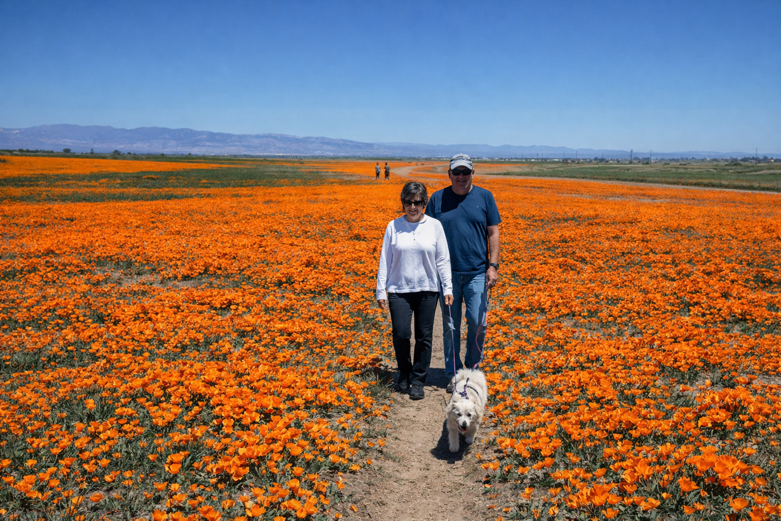 3K Poppy Stroll — Huntington Beach
