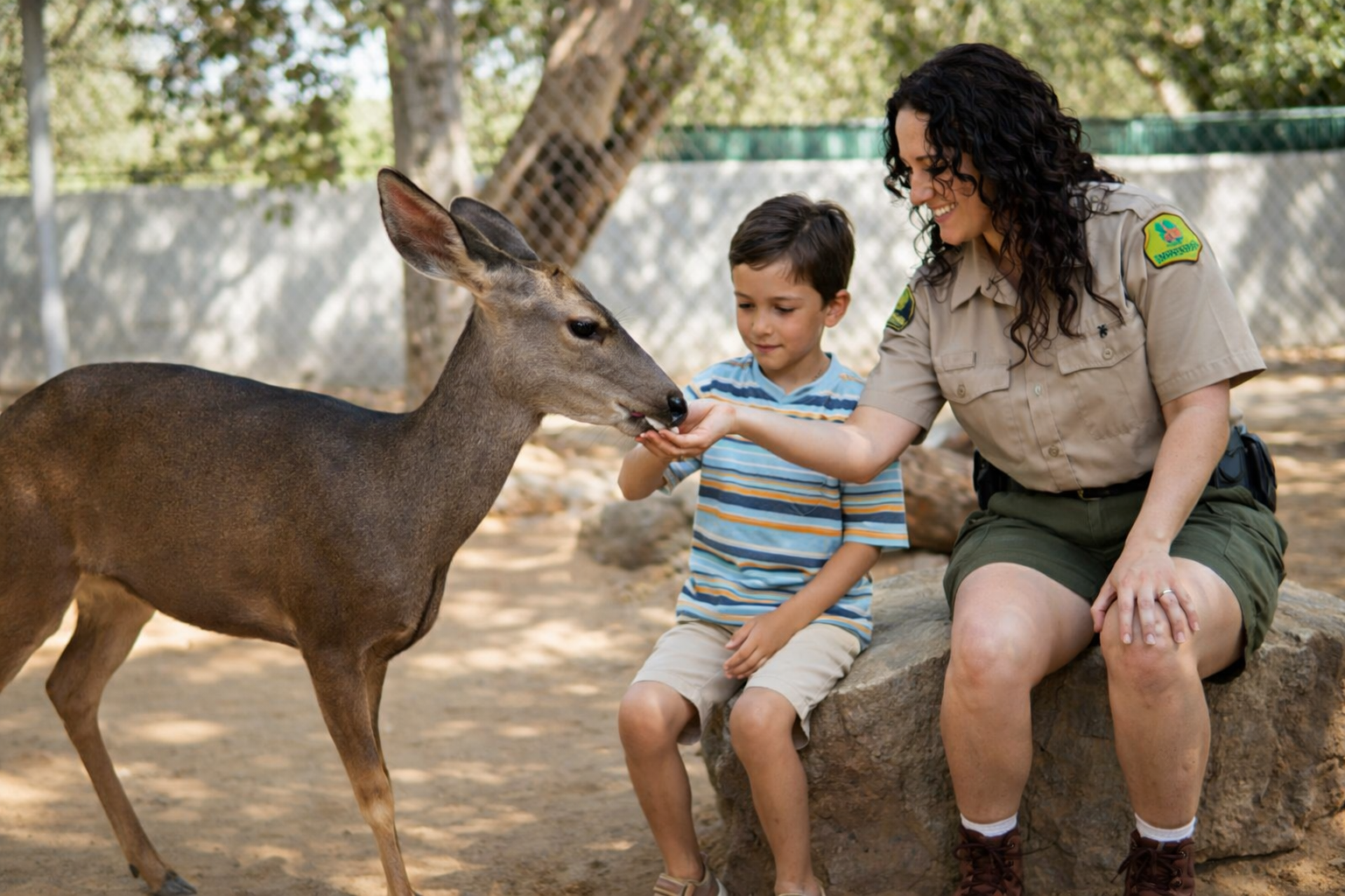 Down on the Farm Preschool Program — Orange