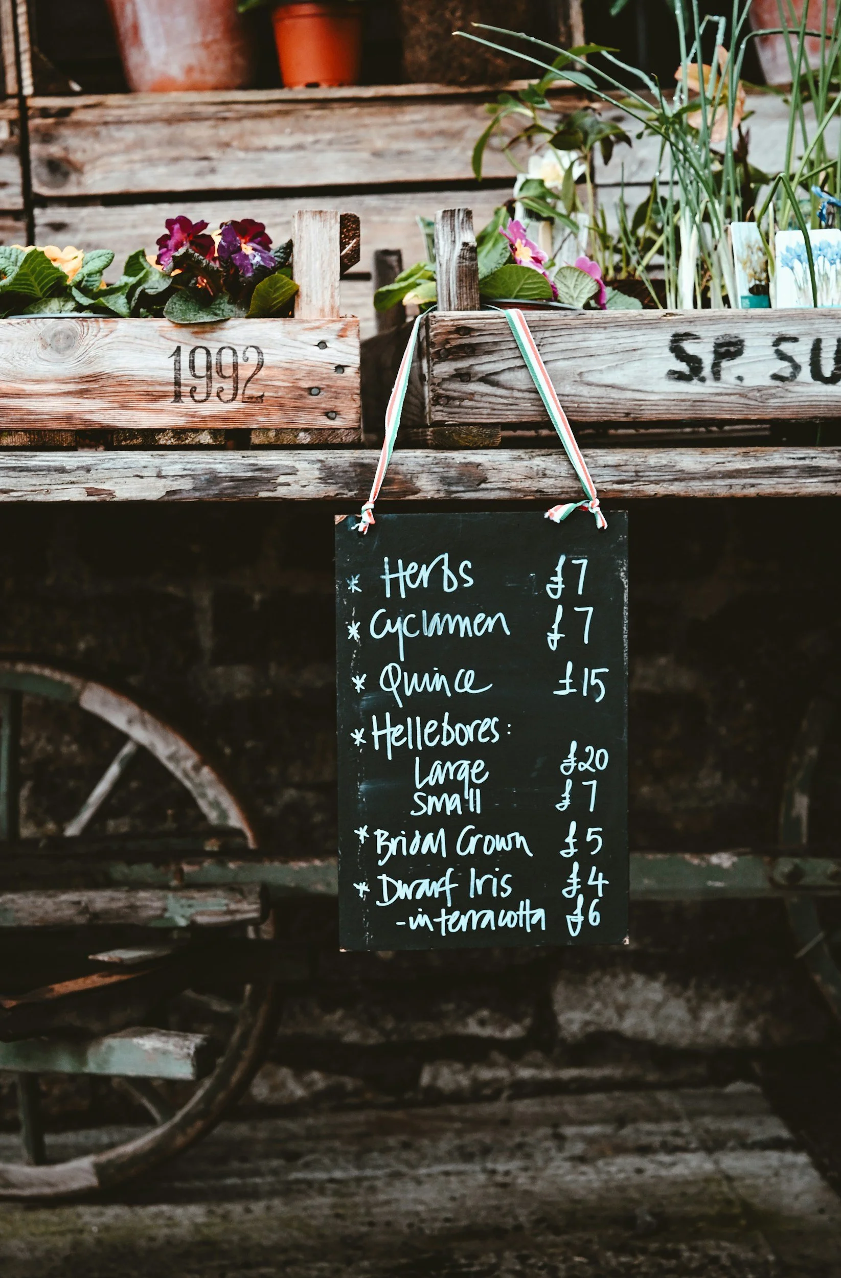 Gardenfest — San Clemente