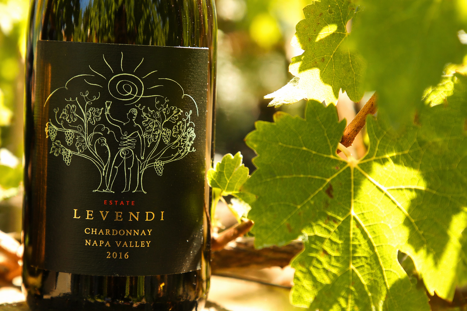 Levendi Wine Dinner — Newport Beach 