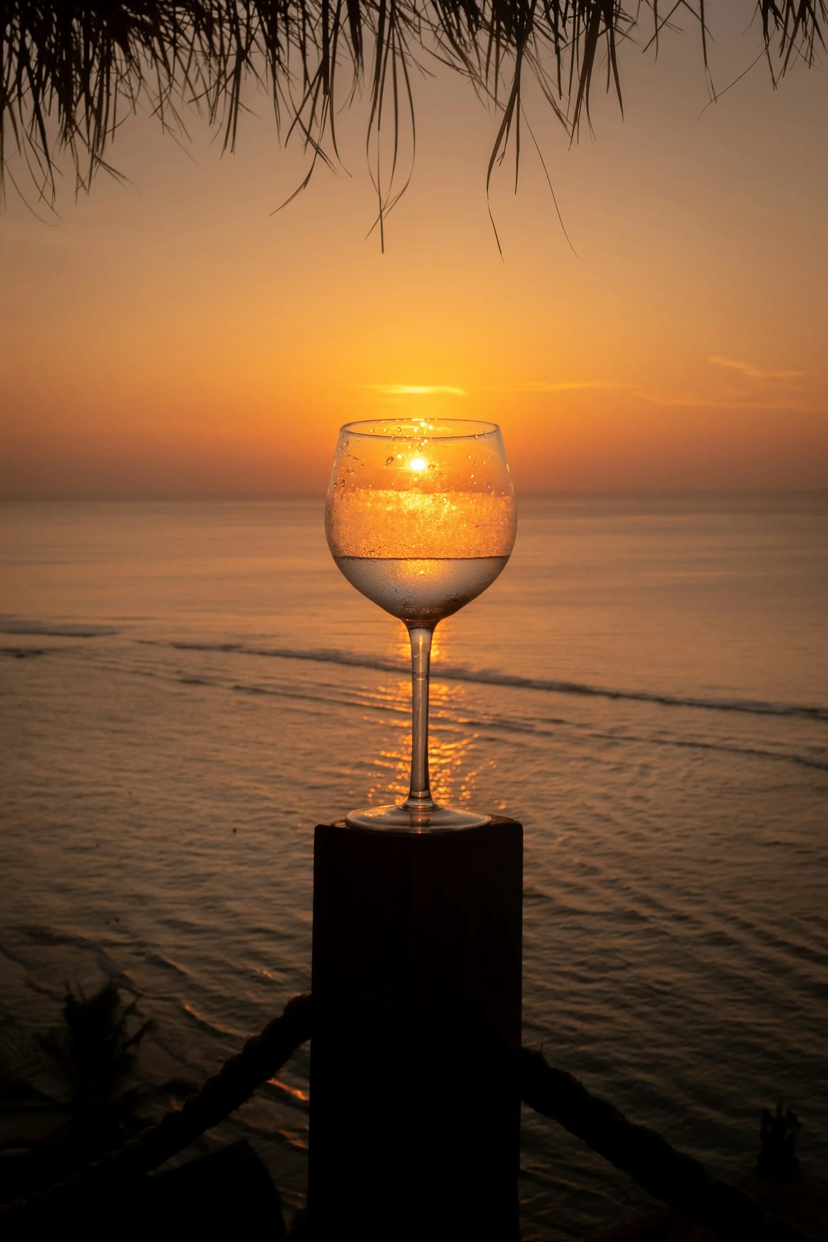 Tour de France Wine Dinner — Laguna Beach