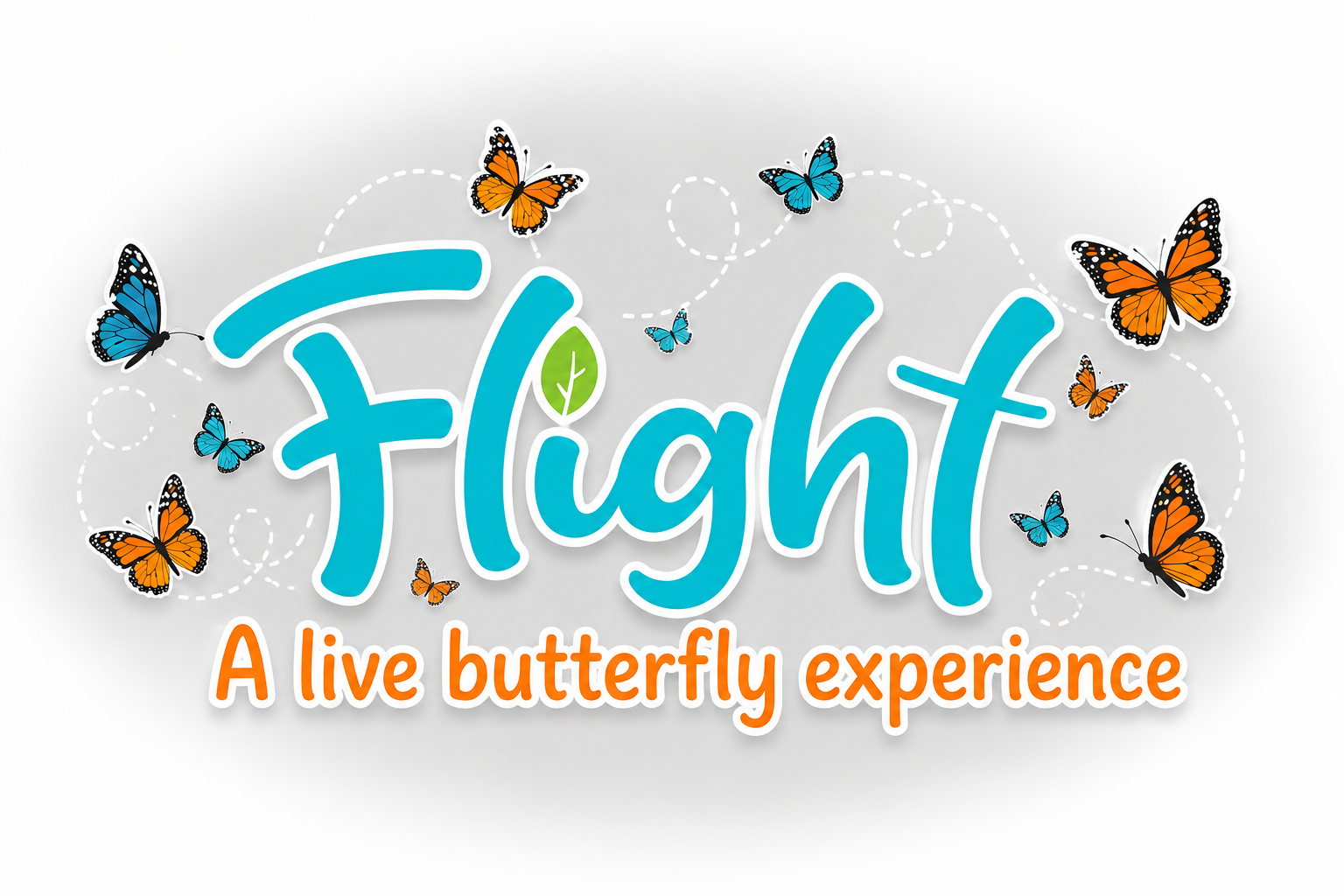  Live butterfly experience!  -  Santa Ana Zoo 