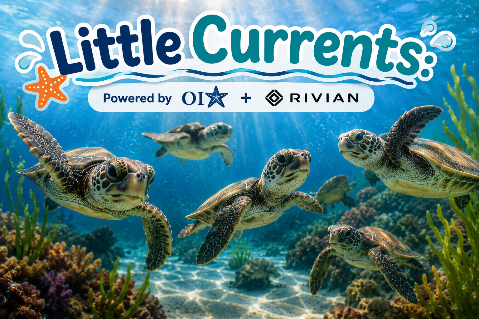 Little Currents: Powered by OI + Rivian — Laguna Beach