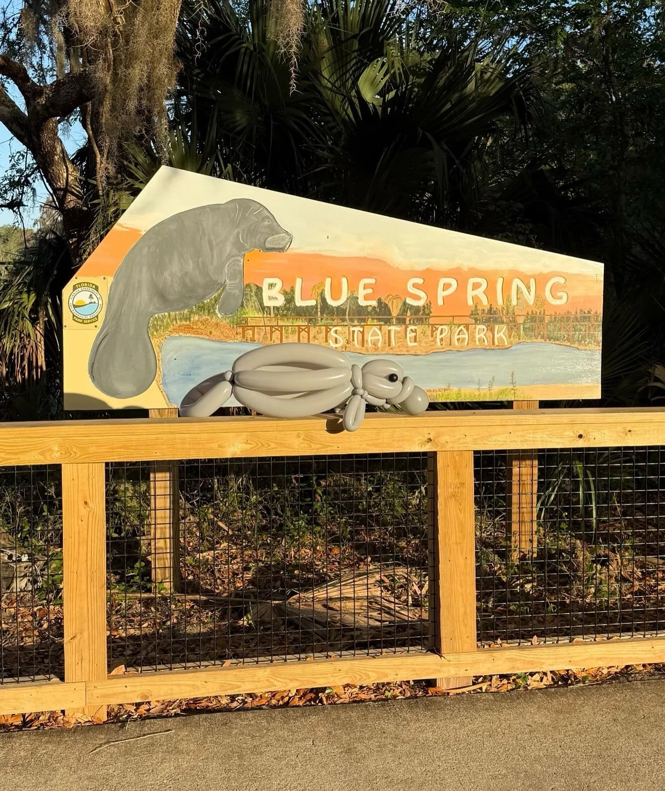 Custom balloon sculptures are a fun way to celebrate a special event! Our baby manatee balloon sculpture visiting @bluespringstatepark_ 
#balloonsculptures #balloontwisting #balloondecor #canalfultonballoons #cantonballoondecor