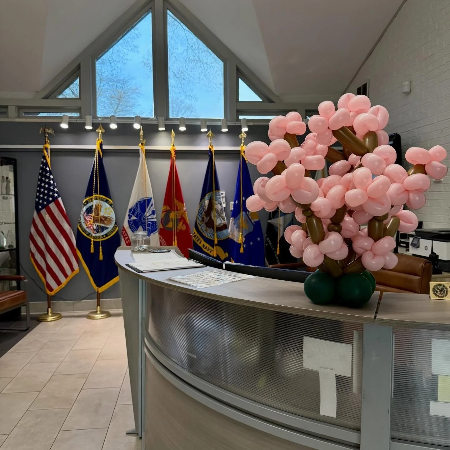 Celebrating the National Cherry Blossom Festival with our Mini Cherry Blossom Balloon Tree at Culpeper National Cemetery. 
#nationalcherryblossomfestival #cherryblossom
#cherryblossomballoons #culpepernationalcemetery 
#cherryblossomballoontree