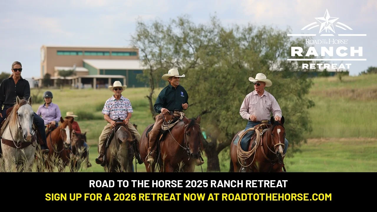 Road To The Horse Retreat 