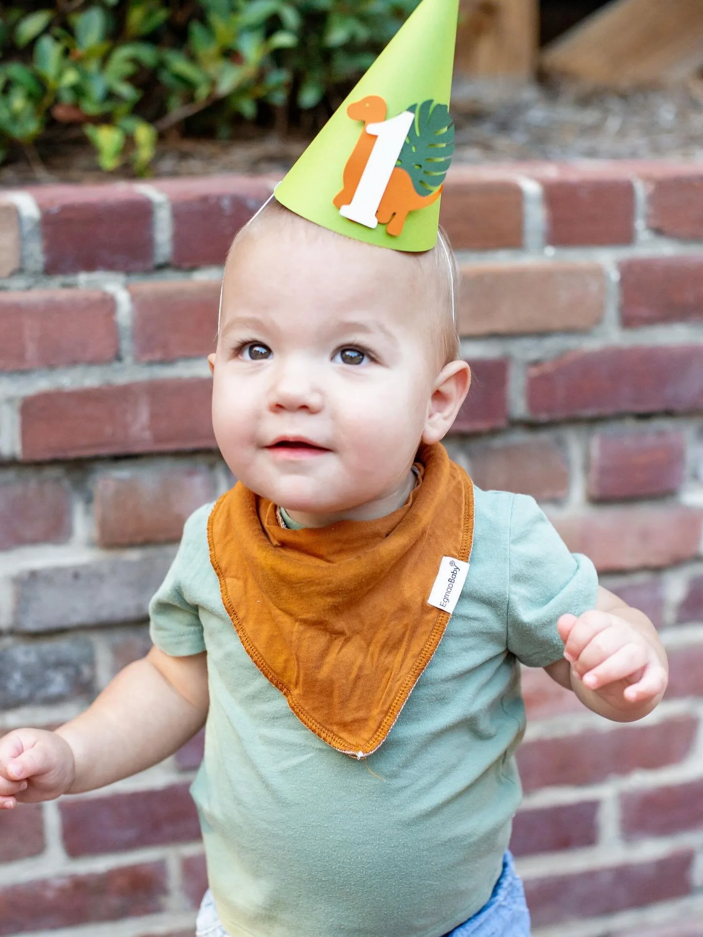 ONE-asaurus 🦖 

What a fun and sweet shoot!! Happy birthday to Eli 🥳

#RDUphotographer #raleighphotography #raleighphotographer #raleighphotographers #tobaccodistrict #tobaccodistrictnc #tobaccodistrictdurham