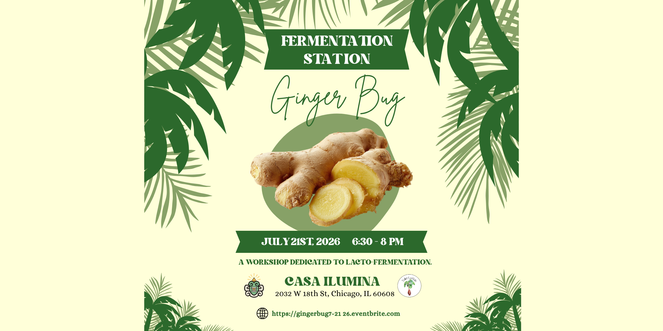 Fermentation Station: Ginger Bug