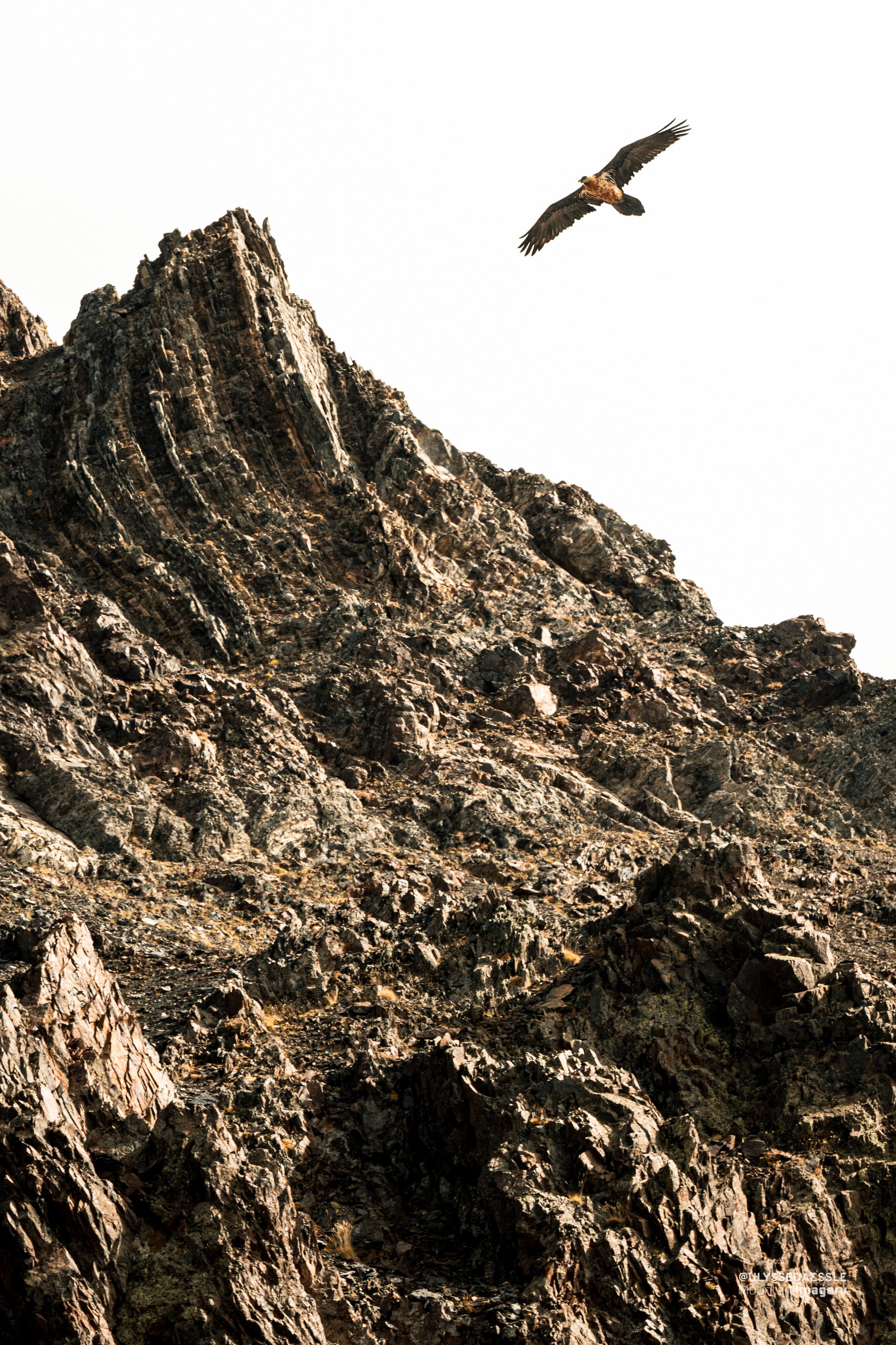 05_The-Sentinel.jpg