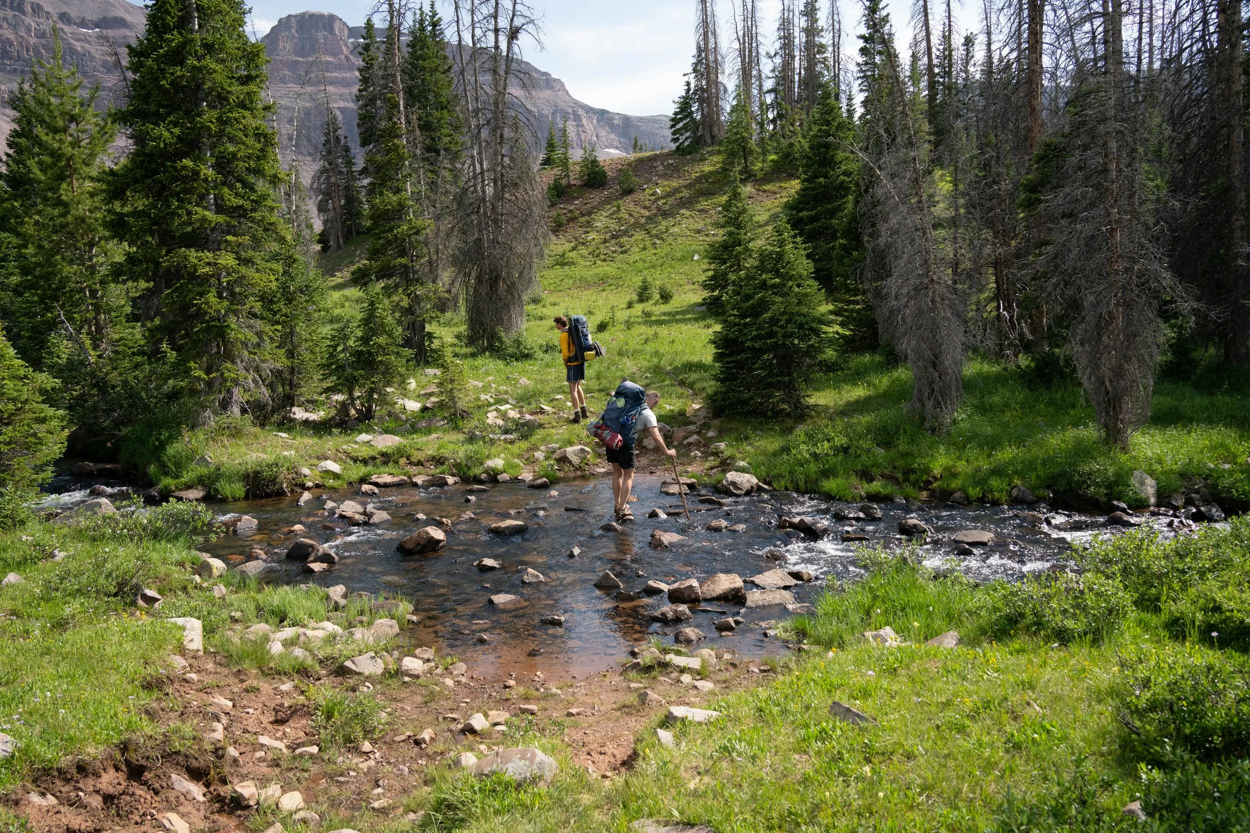 Hikers crossing a rocky stream in a forested mountain area, being kind to their friends and nature.