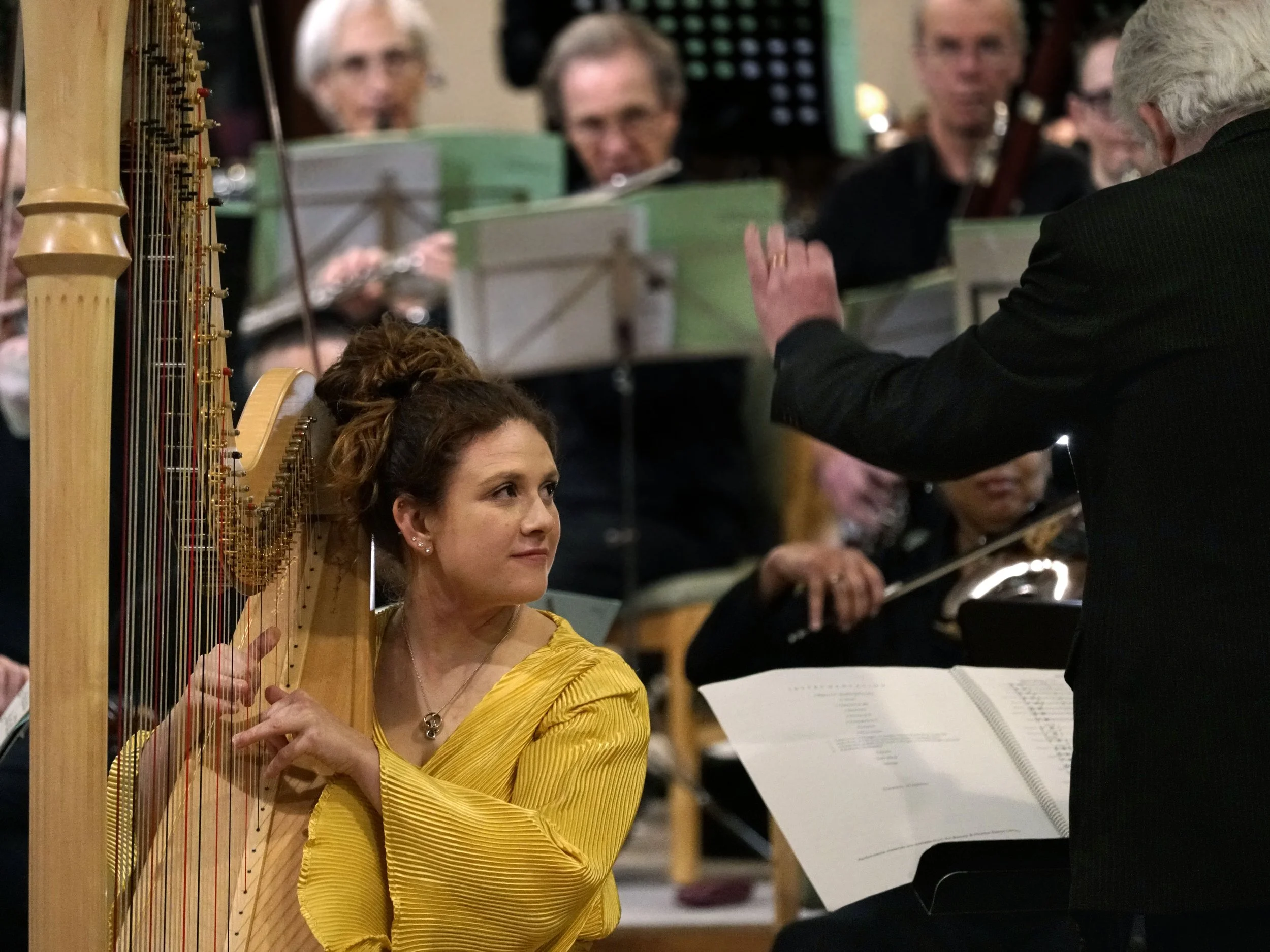 Ginastera Harp Concert with Forest Philharmonic Orchestra
