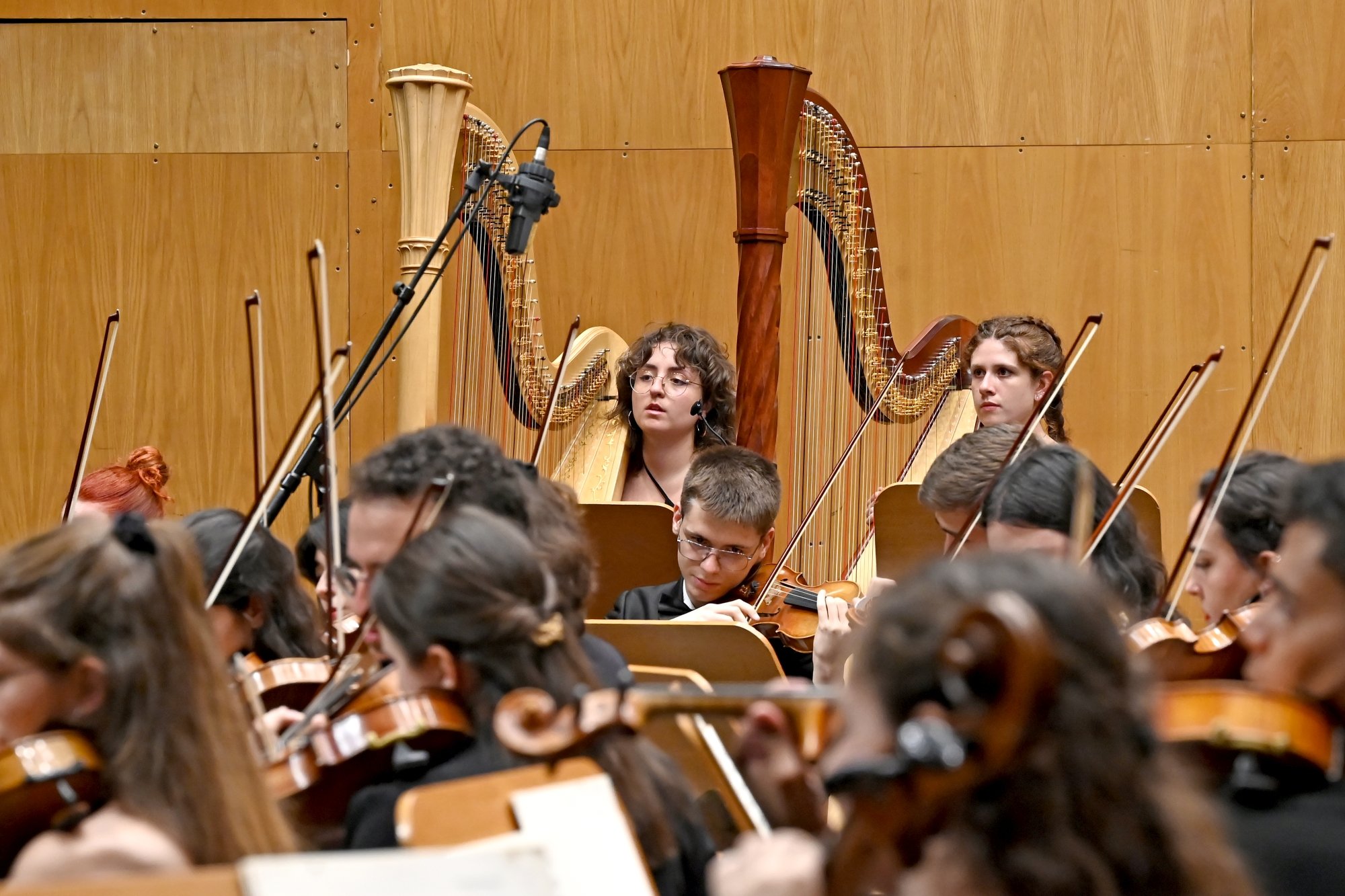 Portabello Orchestra