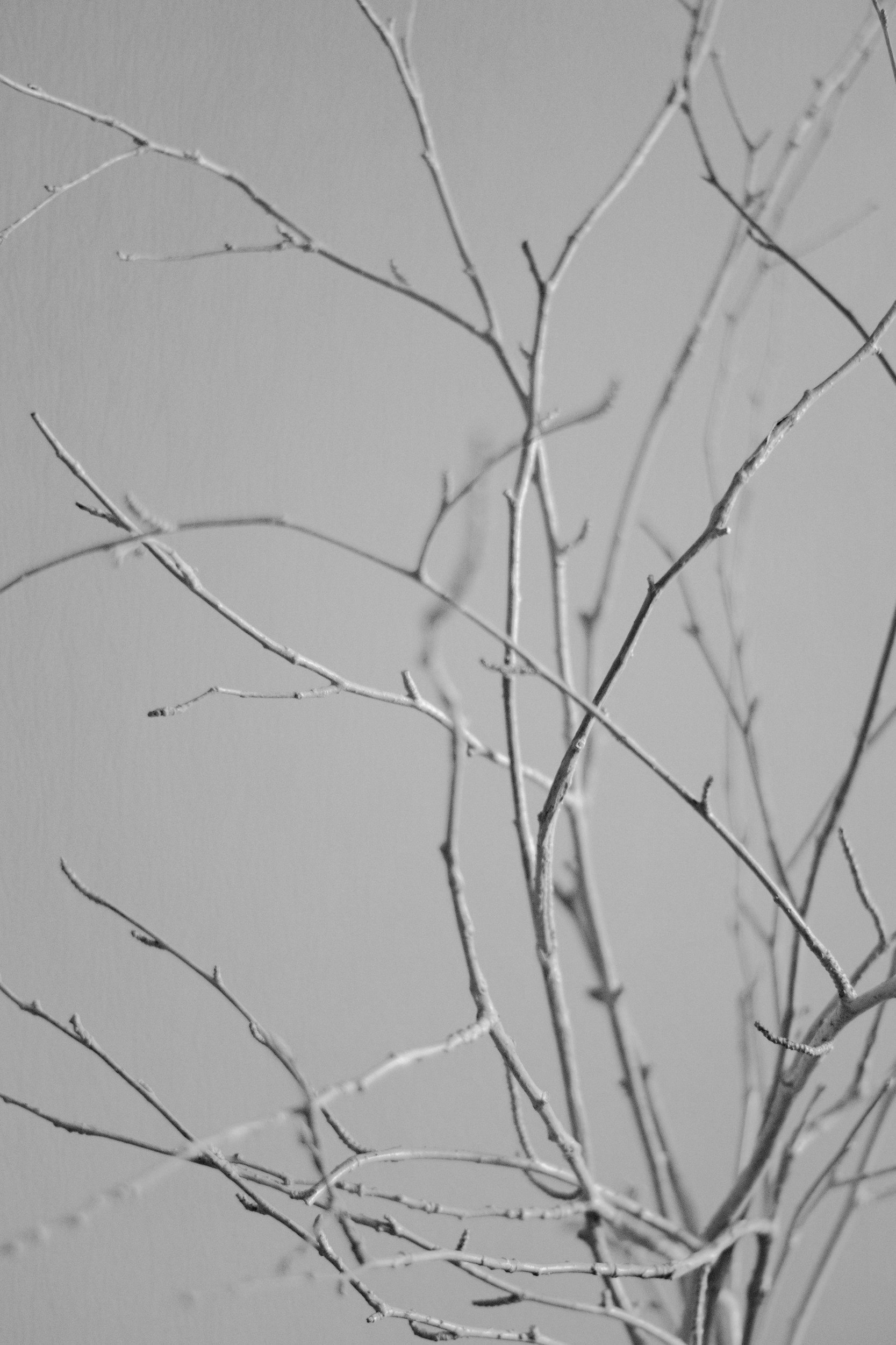 unsplash-image-0TdvWODIa0k.jpg