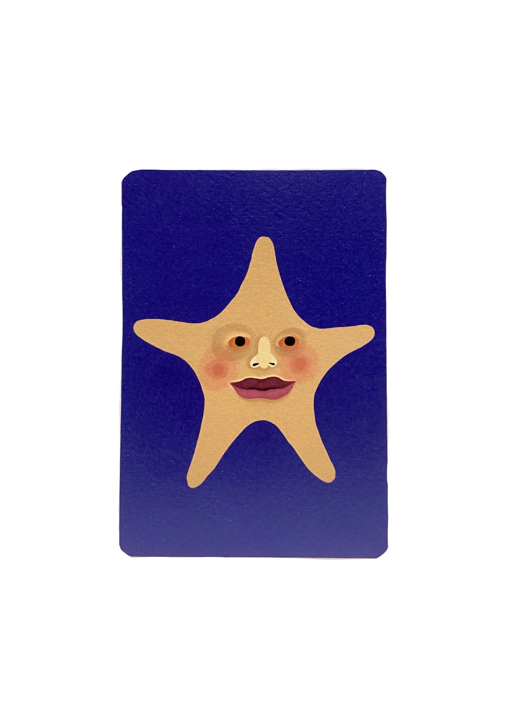 HOLIDAY CARDS 8 PACK