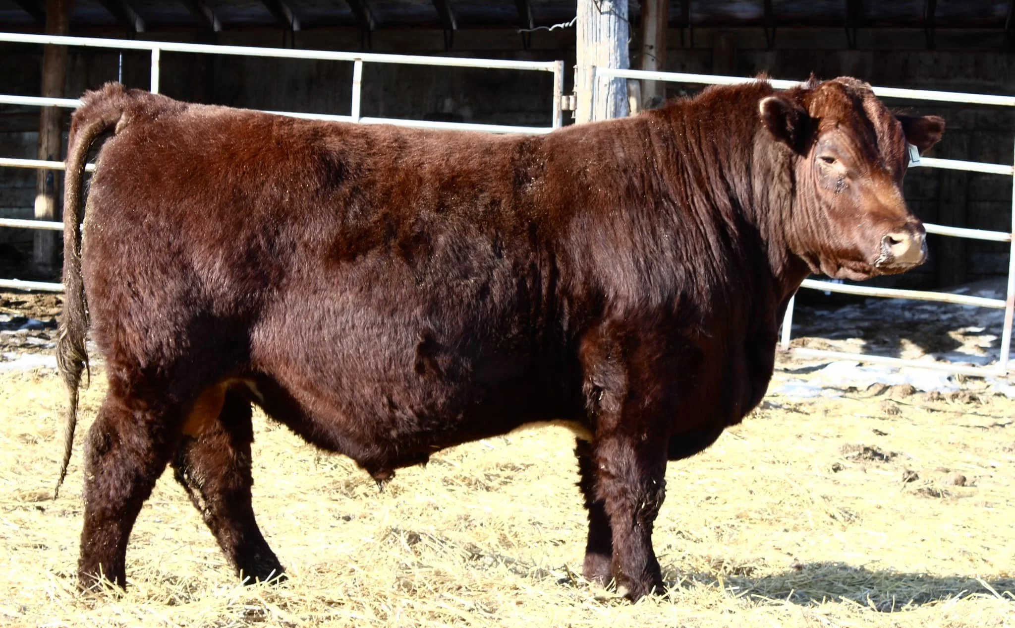 d78abecd-a438-44d2-871b-750c06d7ee79.jfif