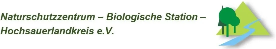 BS-HSK+LOGO+Text2zeil_ohne_Schatten_Logo_mit_Schatten_wei%C3%9F.jpg
